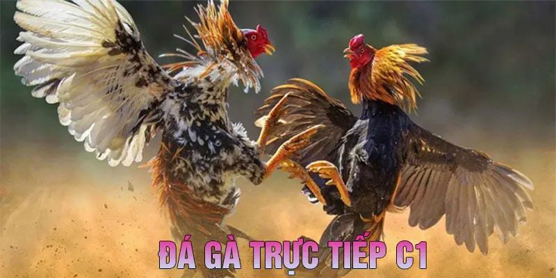 Mô hình giải đấu C1 thuộc ABC8 phát sóng độc quyền